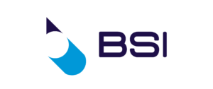 BSI fabricant de tuyaux en pvc, choix entre réseau d'égouts jusque sanitaire et égout pluvial, et tuyaux en polyéthylène, enveloppes de câbles et conduits électriques.